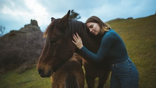 Frau streichelt Islandpferd