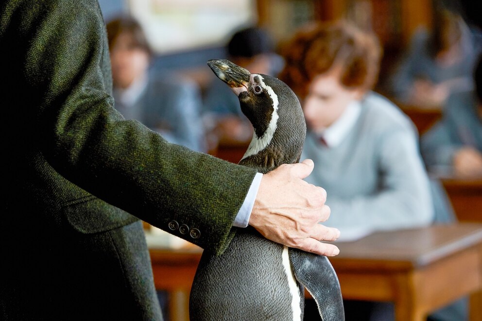 Szene aus dem Film „Der Pinguin meines Lebens“