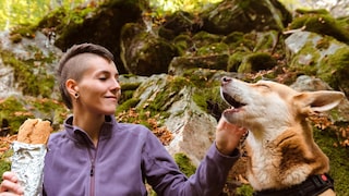 Wer mit seinem Hund wandern geht, muss im Vorfeld einiges beachten