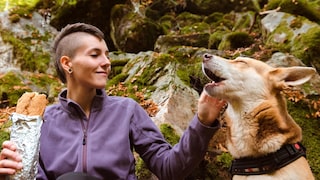 Wer mit seinem Hund wandern geht, muss im Vorfeld einiges beachten