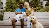 Pärchen mit zwei Hunden, ein Bullterrier, ein Golden Doodle
