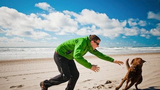 Halter jagt am Strand seinen Hund