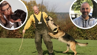 Das Thema Schutzhundesport sorgt aktuell für für erhitzte Gemüter. Die Hundetrainerin Katharina Marioth und Hundepsychologe Marc Ebersbach haben dazu eine klare Meinung.