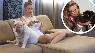 Das ständige am Handy hängen - auch „Phubbing“ genannt - kann die Beziehung zwischen Hund und Halter nachhaltig stören.