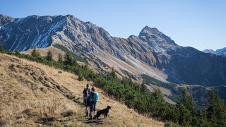 Pärchen geht mit Hund in den bayrischen Alpen wandern