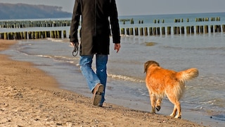 Ein Mann läuft mit seinem unangeleinten Hund am Warnemünder Strand