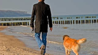 Ein Mann läuft mit seinem unangeleinten Hund am Warnemünder Strand