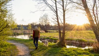 Ein Mann und sein Hund gehen an einem Fluss spazieren