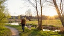 Ein Mann und sein Hund gehen an einem Fluss spazieren