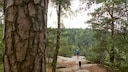 Eine Frau geht mit ihrem Hund in Sachsen-Anhalt spazieren