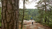 Eine Frau geht mit ihrem Hund in Sachsen-Anhalt spazieren