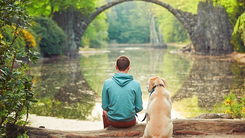 Halter und Hund vor der Rakotzbrücke in Sachsen
