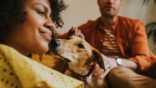 Frau hat positive Mensch-Hund-Beziehung