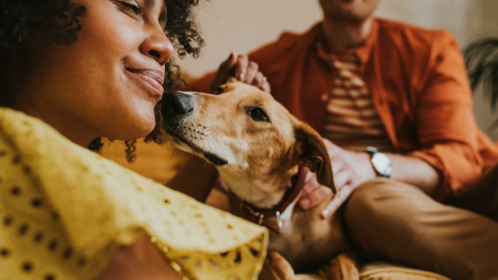 Frau hat positive Mensch-Hund-Beziehung