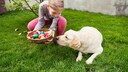 Ostern mit Hund