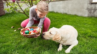 Ostern mit Hund