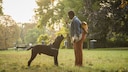 Eine Frau ist mit ihrem Hund im Park