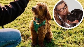 Collage aus Hund sitzt mit Halter beim Training auf Wiese und Porträt von Hundetrainerin Katharina Marioth (Kreis)