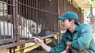 Daniel Henney ist nicht nur ein talentierter Schauspieler, sondern setzt sich auch für den Tierschutz in Südkorea ein