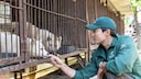 Daniel Henney ist nicht nur ein talentierter Schauspieler, sondern setzt sich auch für den Tierschutz in Südkorea ein