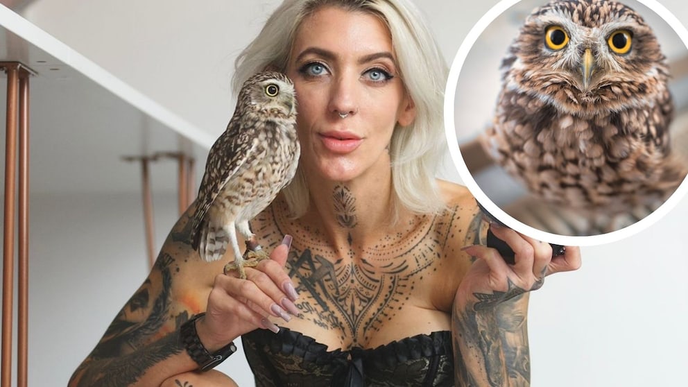 Collage von Bianca Wiese mit Kaninchenkauz Karma
