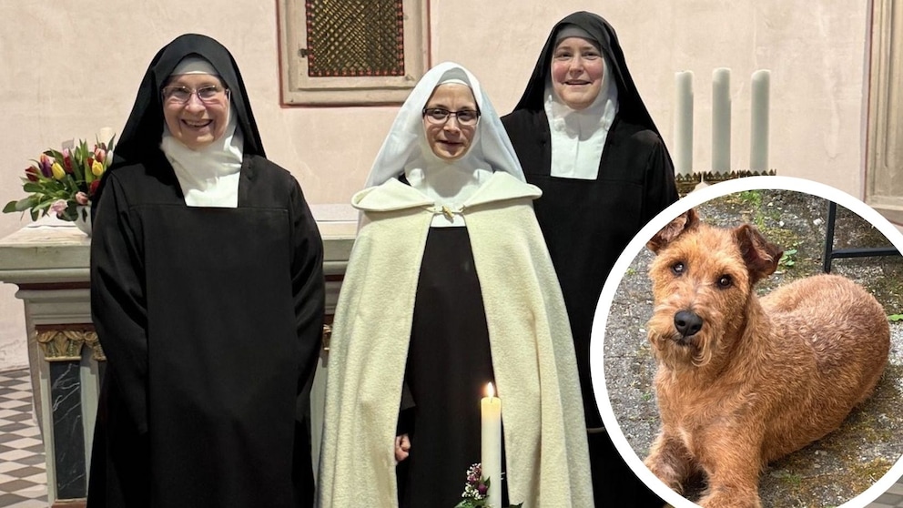 Neben den drei Schwestern wohnt auch Klosterhund Philo im Eremitage in Siegburg.
