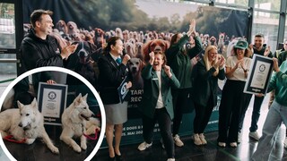 So viel Sitz gab es noch nie! In Dortmund haben am Wochenende 122 Hunde einen Weltrekord aufgestellt