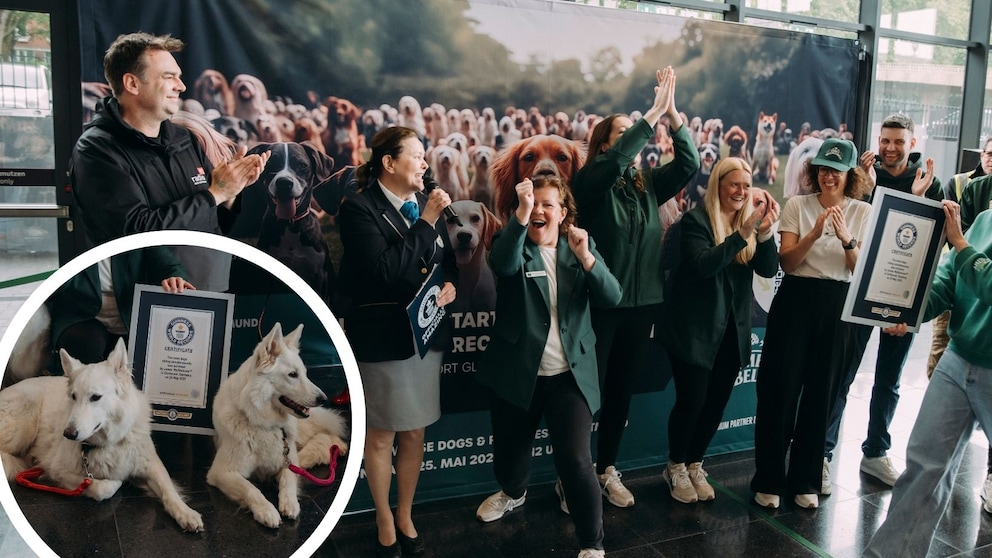So viel Sitz gab es noch nie! In Dortmund haben am Wochenende 122 Hunde einen Weltrekord aufgestellt