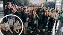 So viel Sitz gab es noch nie! In Dortmund haben am Wochenende 122 Hunde einen Weltrekord aufgestellt