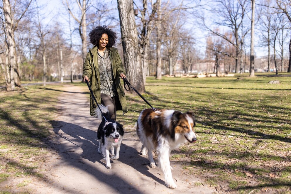 Leinenpflicht für Hunde in Berlin – welche Regeln 2025 gelten