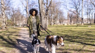 Frau geht mit ihren Hunden in einem Berliner Park an der Leine spazieren