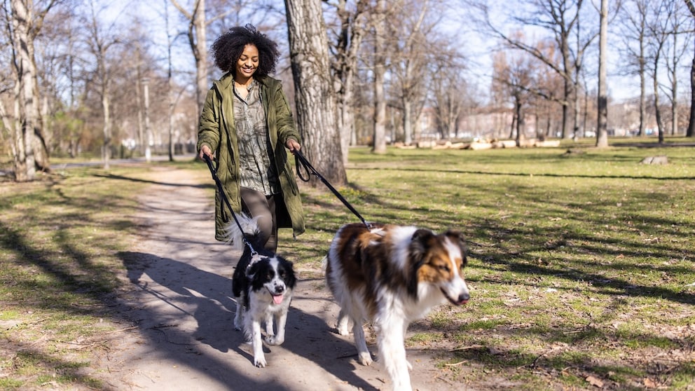 Frau geht mit ihren Hunden in einem Berliner Park an der Leine spazieren