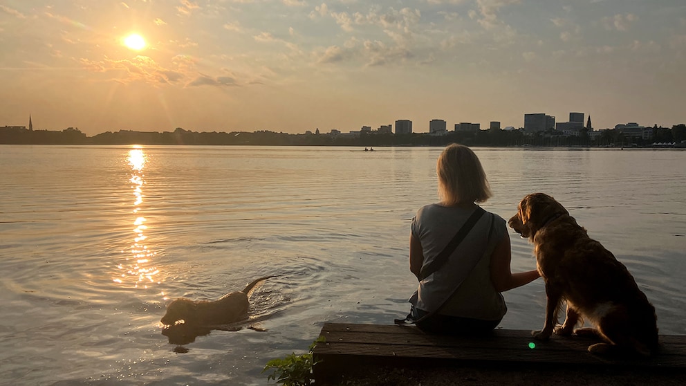 Zwei Hunde mit Frauchen an der Alster