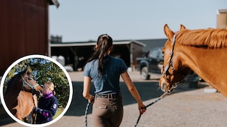 Collage aus Pferd auf Hof mit Reiterin und Porträt von Manuela Lieflaender mit Pferd (Kreis)