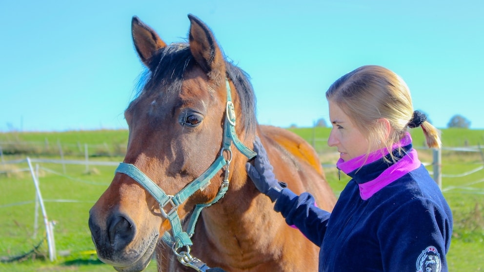 Manuela Lieflaender mit Pferd