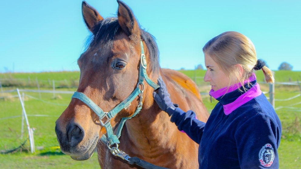 Manuela Lieflaender mit Pferd