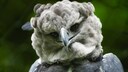 Ein Harpyien-Adler, ein mystisches Wesen, das es tats&auml;chlich gibt.