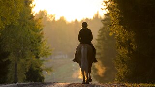 Frau reitet mit ihrem Pferd auf der Straße