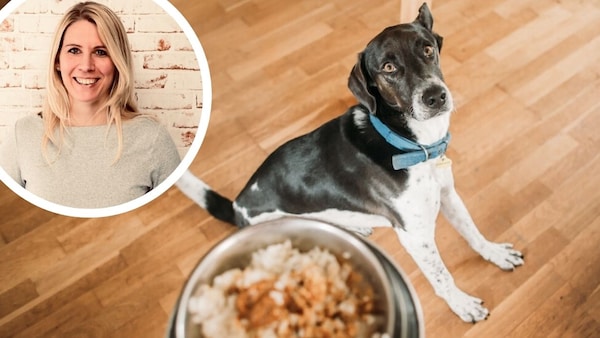 Collage aus Hund mit Futternapf und Porträt von Philine Ebert (Kreis)