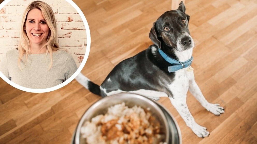 Collage aus Hund mit Futternapf und Porträt von Philine Ebert (Kreis)
