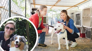 Collage aus zwei Tierheimmitareiterinnen mit Hund im Zwinger und Porträt von PETBOOK-Autorin Manuela Lieflaender mit Hund Elvis (Kreis)