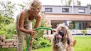 Hund Garten