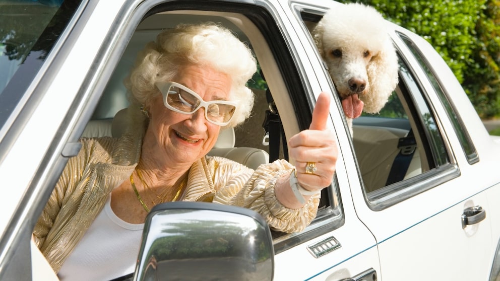 Ältere Frau und ihr Pudel haben die gleiche Frisur und sitzen im Auto