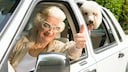 Ältere Frau und ihr Pudel haben die gleiche Frisur und sitzen im Auto