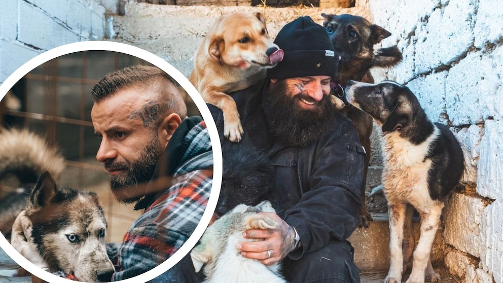 Bruno Jelovic, Ex-Fitnessmodel, kämpft in Bosnien für Straßenhunde. Mit über 400 geretteten Tieren auf seiner Ranch zeigt er, wie echter Tierschutz funktioniert.