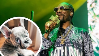 Rapper Snoop Dogg trauert um seinen Hund Juelz.