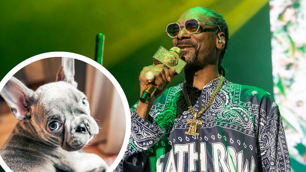 Rapper Snoop Dogg trauert um seinen Hund Juelz.