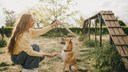 Frau bringt Hund bei, die Pfote zu geben