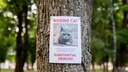 Suchanzeige mit &bdquo;Katze vermisst&ldquo; an einem Baum