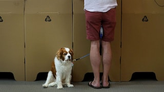 Während der Corona-Lockdowns erfüllten sich viele den langgehegten Wunsch nach einem eigenen Haustier. Doch was einst Trostspender sein sollte, wurde für viele Halter zur Herausforderung mit unerwarteten Folgen.